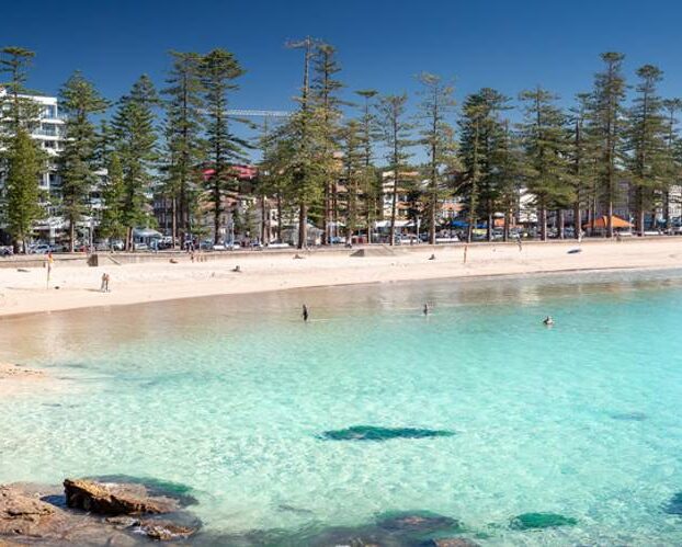 Manly Beach Farmers Markets